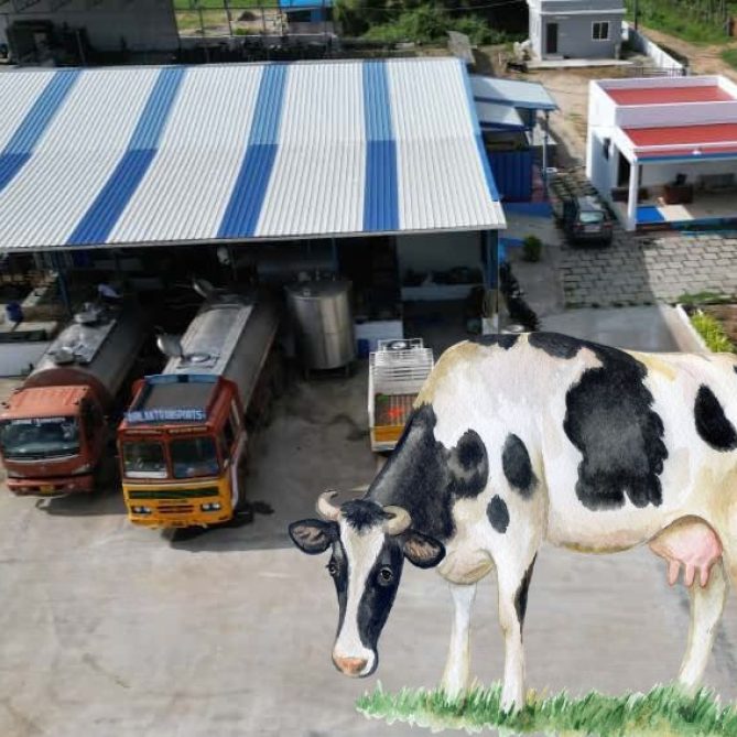 Untitled design (14)