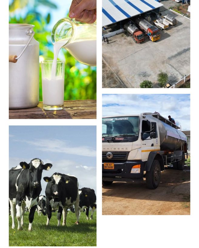 White Unwind Gallery Instagram Story